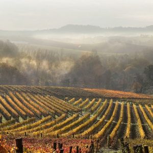 Programa Interreg: Piamonte y Francia unidos por el arte y la sostenibilidad. Obras de arte contemporáneo en Langhe y la Costa Azul