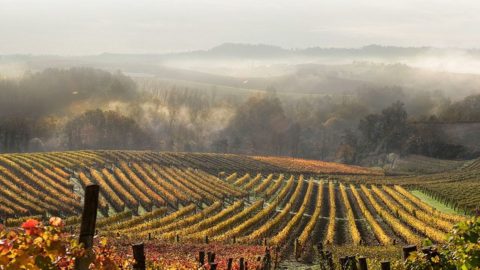 Programa Interreg: Piamonte y Francia unidos por el arte y la sostenibilidad. Obras de arte contemporáneo en Langhe y la Costa Azul