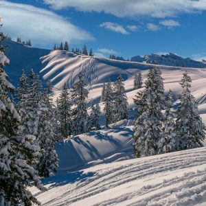 Vremea de Crăciun: frig polar în Santo Stefano