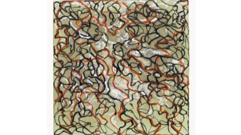 Brice Marden. ¿Cuánto vale su trabajo?