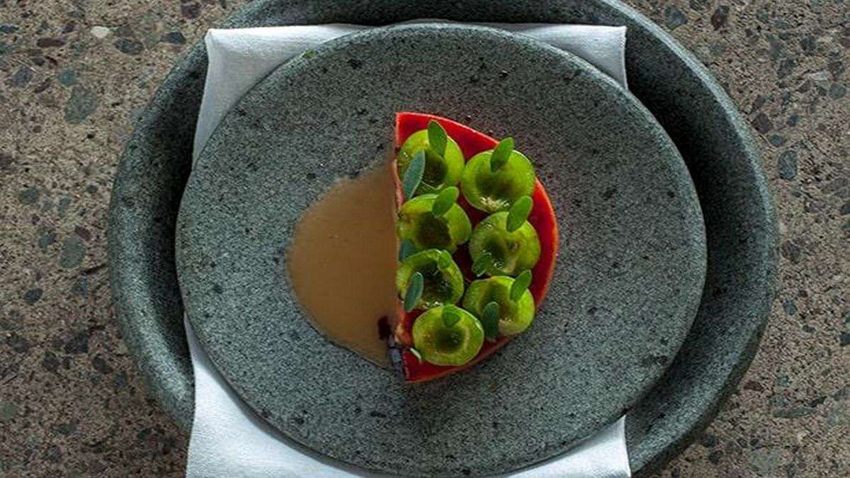 Endemic cuisine by Chilean chef Rodolfo Guzman