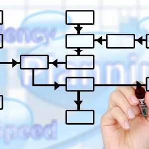 Software de control al managementului: ce este și de ce este important pentru companii?