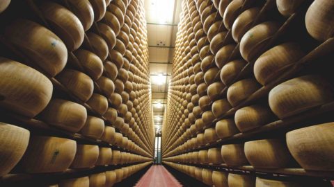 Perjanjian Seluruh Parmigiano Reggiano: lebih banyak toko di AS