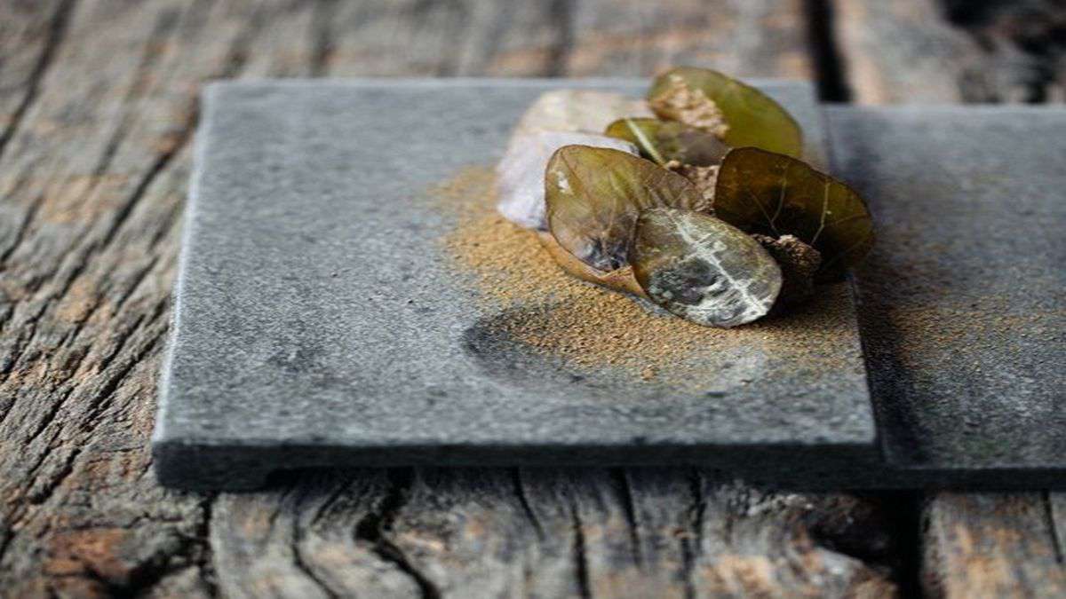 borago-la-cuisine-endémique-de-rodolfo-guzman