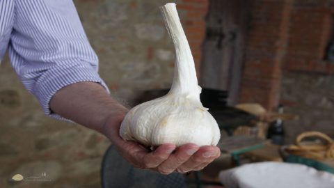 Aglione, uma saborosa e delicada redescoberta à mesa