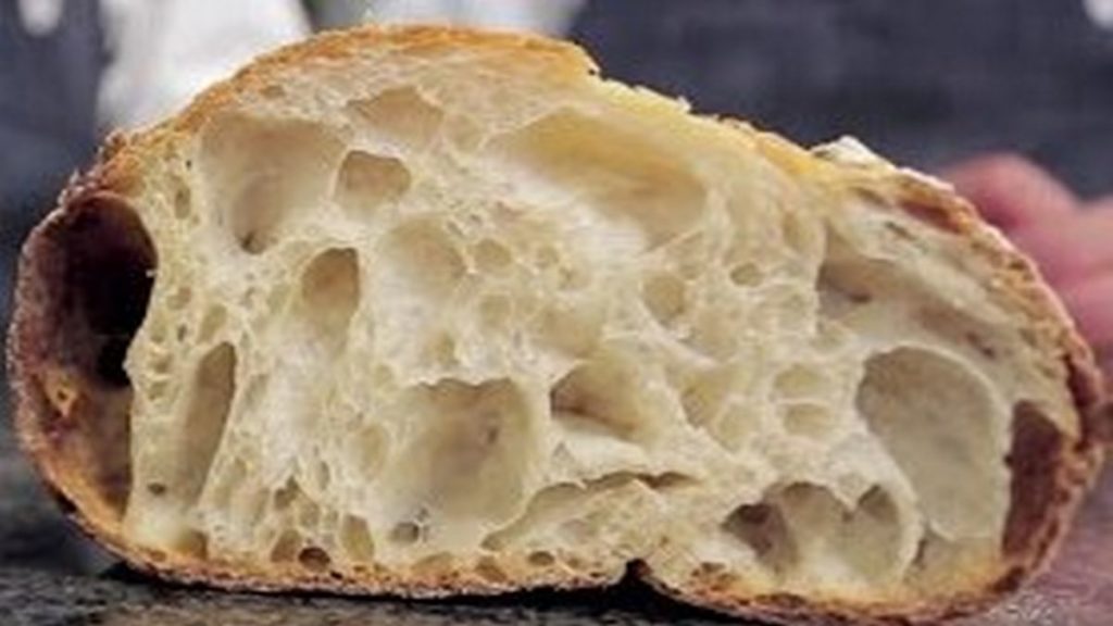 panebianco romito