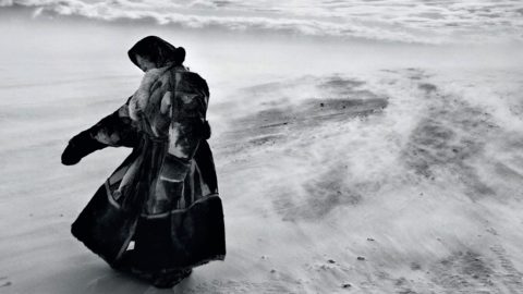 Giornata della Terra: “Il sale della Terra” di Wim Wenders e Juliano Ribeiro Salgado su Rai Storia