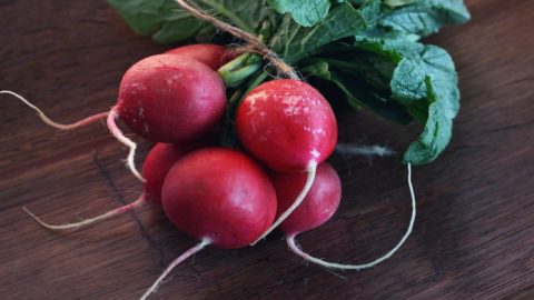 Radish: from the root to the leaves, a beneficial and versatile vegetable