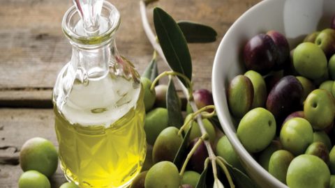 Оливковое масло первого холодного отжима: потребляем больше, правила сохранения его свойств