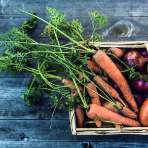 Agricoltura, sui mercati le piccole produzioni locali (col logo PPL)