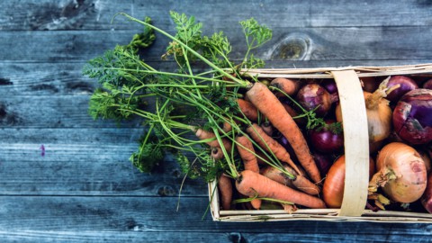 Agricoltura, sui mercati le piccole produzioni locali (col logo PPL)