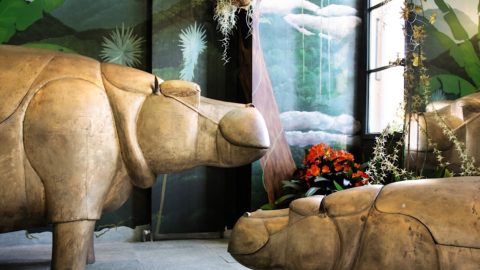 Une famille d'hippopotames : un set de salle de bain issu de l'univers extravagant des Lalannes