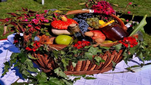 Agricoltura: slitta al 2023 la nuova politica agricola europea