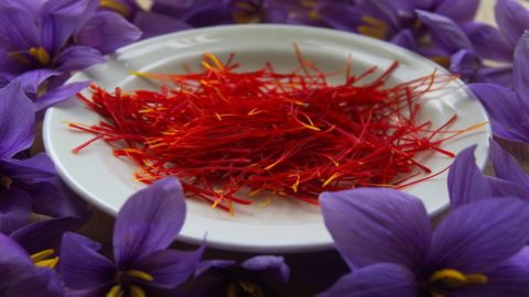 Saffron: in Tuscany it is tinged with pink