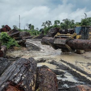 Brasil: Bolsonaro e Covid-19, duas minas para a Amazônia