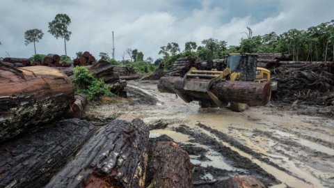 Brésil : Bolsonaro et Covid-19, deux mines pour l'Amazonie