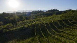 asolo paesaggio vigneti proesecco