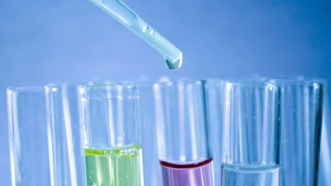 Aim, matricole al via: dal nemico dei virus al Rum dei Caraibi