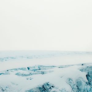 Vente aux enchères Photographie : « la nature et l'homme » en instantanés de carnets de vie.