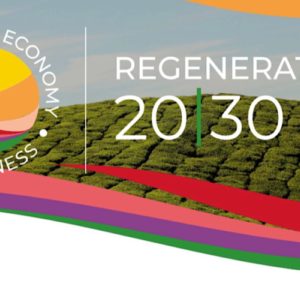 Regeneração 20|30: cultura e conhecimento para um novo modelo regenerativo