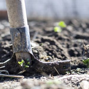 Alimentazione: italiani sempre più per prodotti a km zero