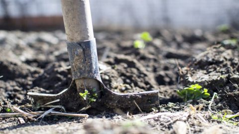 Alimentazione: italiani sempre più per prodotti a km zero