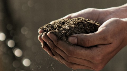 L’agricoltura sociale opportunità per i giovani. Confagricoltura presenta il bando per progetti inclusivi