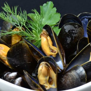 Le cozze italiane: il frutto di mare principe dell’estate