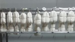 Formaggi caciocavalli silani dell'azienda Biosila