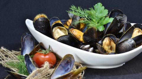 Le cozze, risorsa d’estate per tutti i gusti