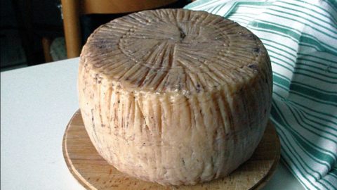 Carmasciano pecorino নতুন স্লো ফুড প্রেসিডিয়াম