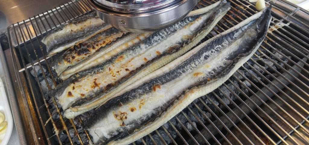 grilled eels photo pixabay