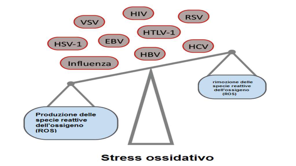 stress ossidativo