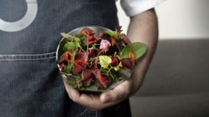 Friuli Venezia Giulia La Nuova Cucina