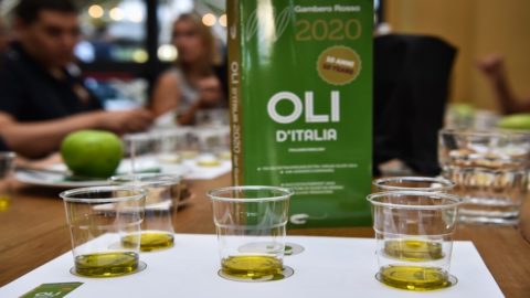 Oils of Italy 2020: minyak zaitun extra virgin Italia terbaik, Puglia dan Calabria di podium