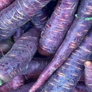 La carota viola: un concentrato di sapori e salute da rivalutare