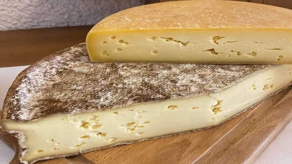 gewürzter Käse aus der Dossena-Mine