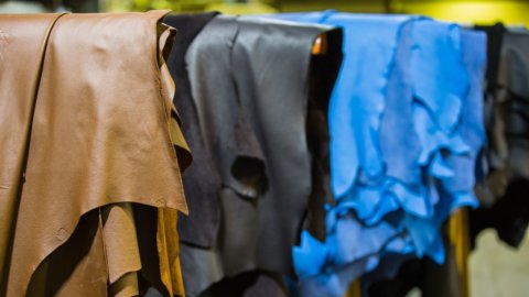 L’industria delle pelli sceglie la sostenibilità