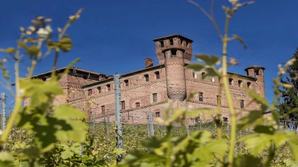 Schloss-Grinzane-Cavour mit Weinbergen