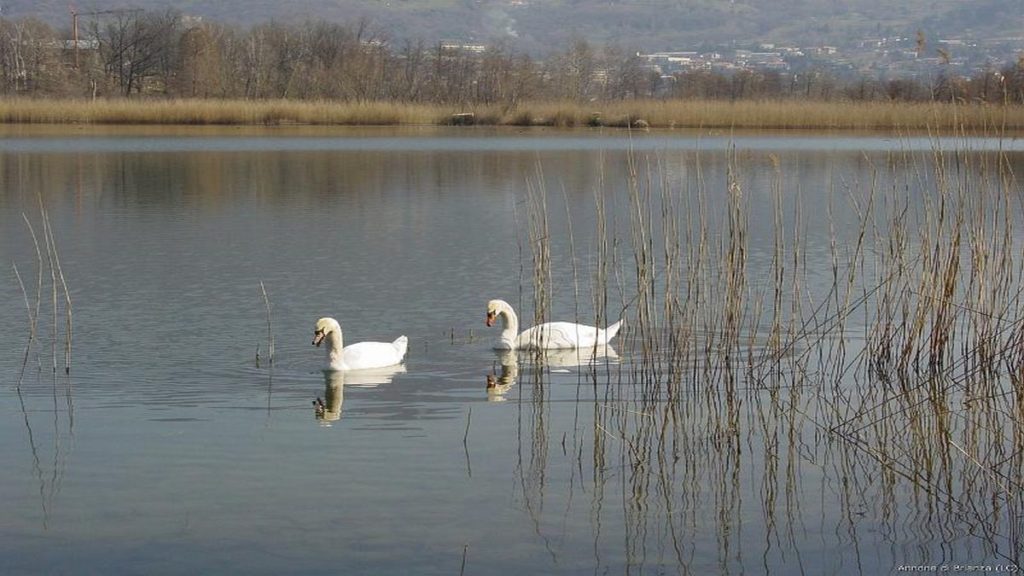 lacul annone