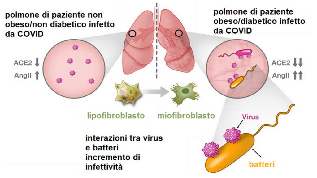 covid e nutrição