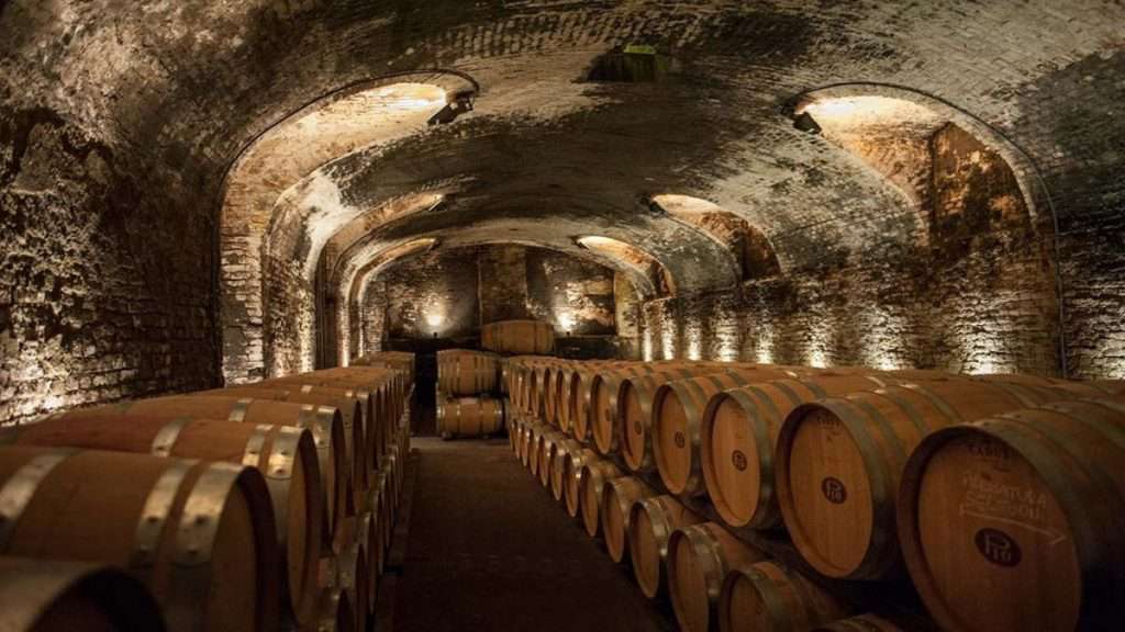 أقبية Barolo Pio Cesare التاريخية بوترتي