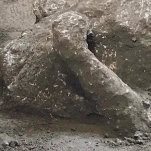 Archeologia, scoperti due corpi pompeiani grazie all’antica tecnica dei calchi in gesso