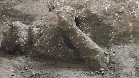 Archeologia, scoperti due corpi pompeiani grazie all’antica tecnica dei calchi in gesso