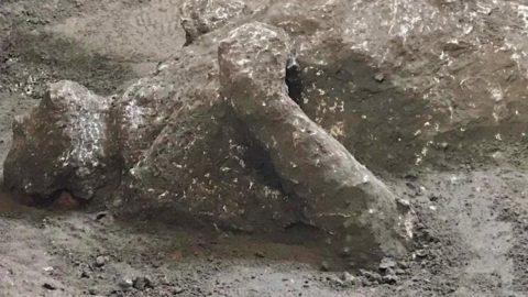 Arqueología, dos cuerpos pompeyanos descubiertos gracias a la antigua técnica de vaciados en yeso