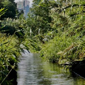 Umwelt und Kreativität. Das Experiment in Sizilien am Fluss Oreto