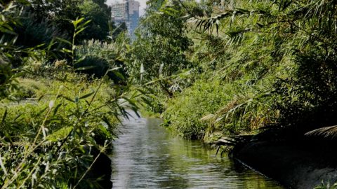 Ambiente y creatividad. El experimento en Sicilia en el río Oreto