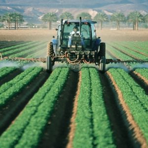 Agribusiness: Der Wunsch nach landwirtschaftlicher Arbeit wächst.