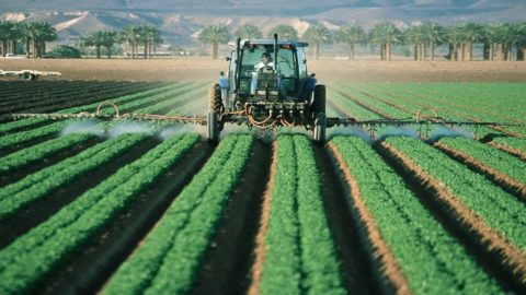 Agroalimentare: cresce la voglia di lavoro agricolo.