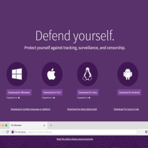 Web ブロックを克服するための TOR と VPN: 知っておくべきこととリスク